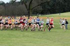 Senior Womens start, McCain Inter Counties Cross Country, Cofton Park, Birmingham.